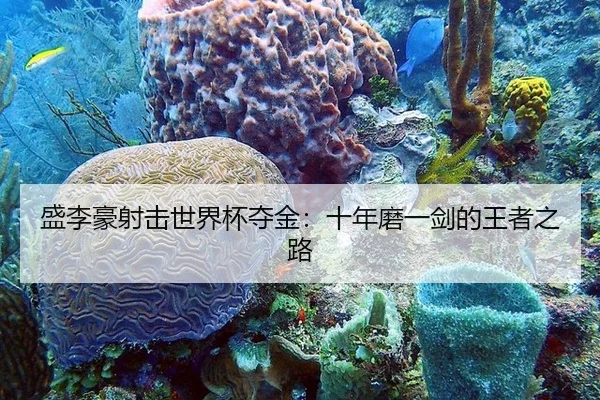 盛李豪射击世界杯夺金：十年磨一剑的王者之路